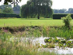 Leuke visvijver op de camping